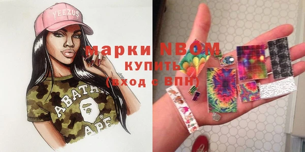 твердый Абаза